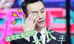 娱乐圈最新爆料王凯小说,与神秘美女共度良宵，小说情节再现娱乐圈